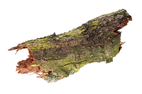 Tree Bark — Stock Photo, Image