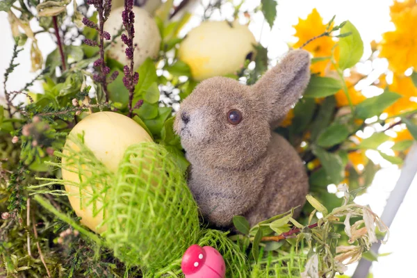 Pascua Imagen De Stock