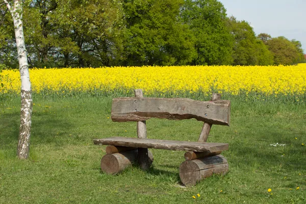 Trädgård bänk — Stockfoto