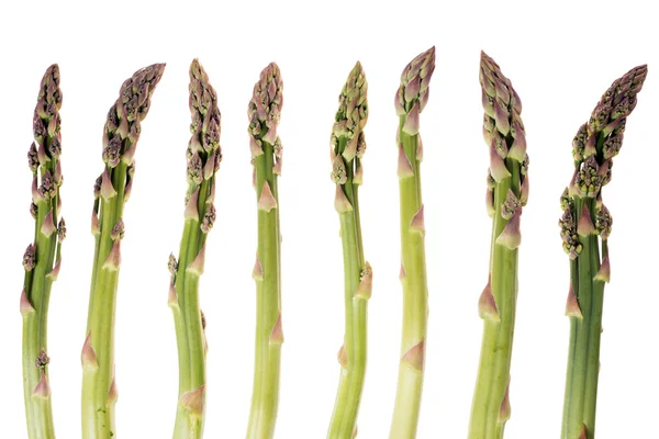 Asparagus — Stock Photo, Image