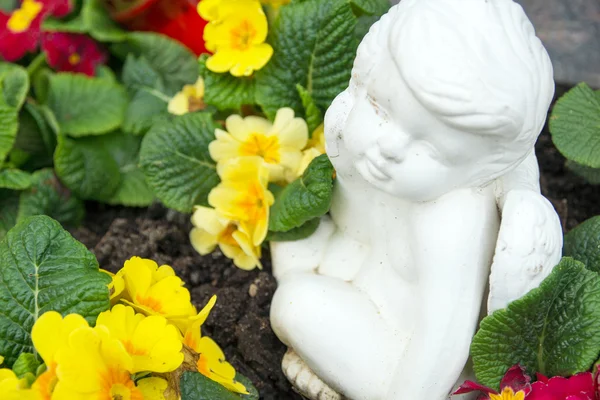 Cemetery — Stock Photo, Image