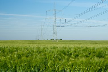 elektrik direğinden