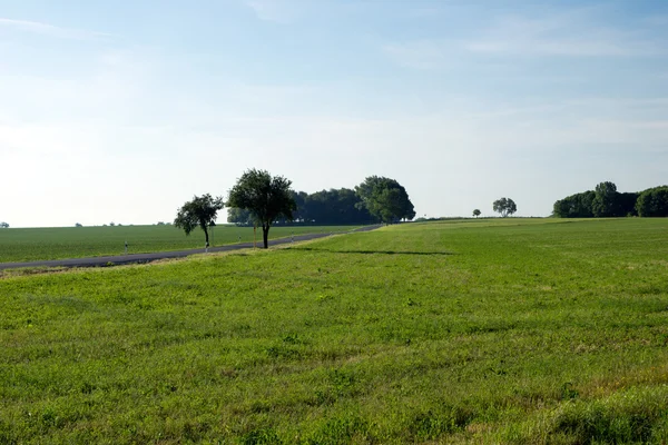 Landskap — Stockfoto