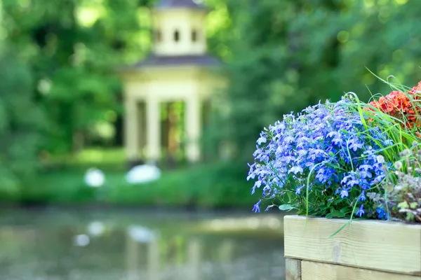 Parque — Fotografia de Stock