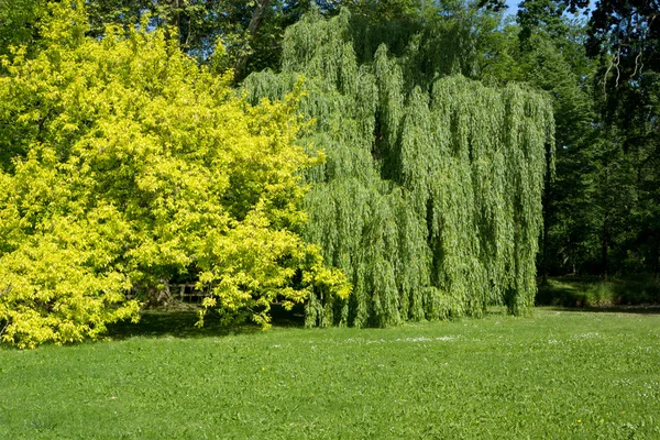 Natuur — Stockfoto