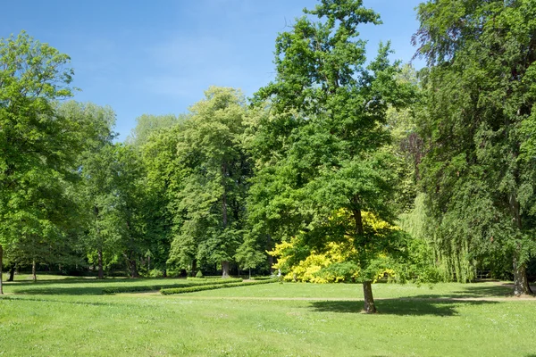 Natuur — Stockfoto