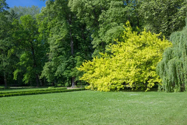 Naturaleza Imágenes de stock libres de derechos