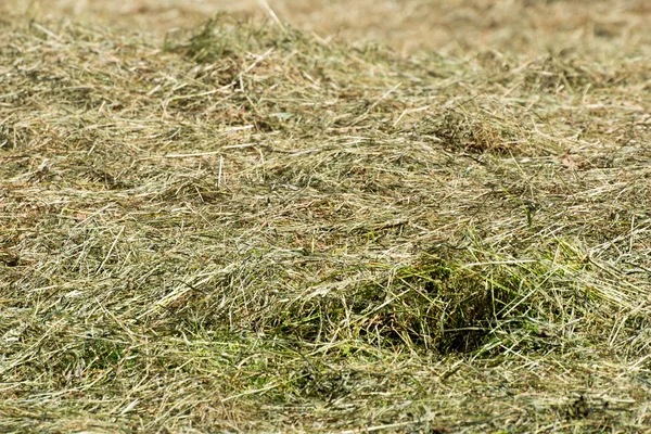 Landbouw Stockfoto