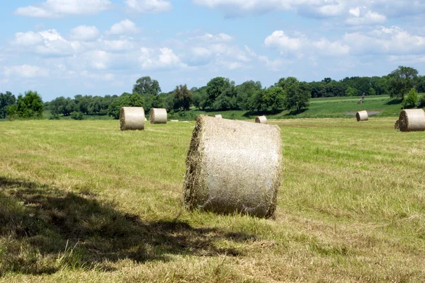 Bales of straw — Stock Photo, Image