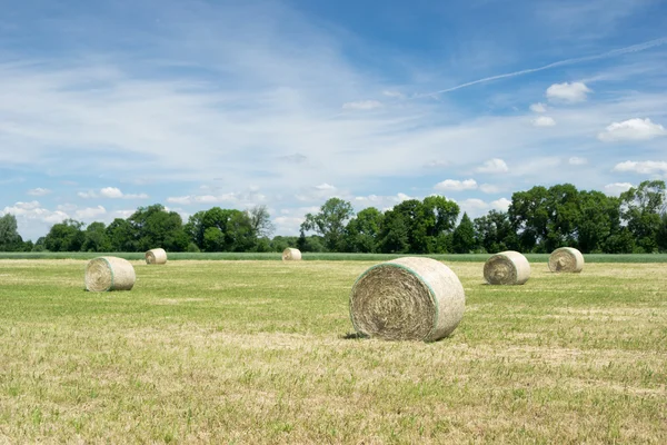 Szalma bála — Stock Fotó