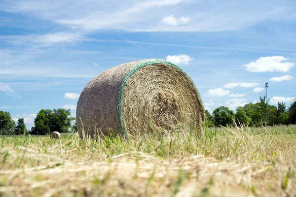 Pacas de paja — Foto de Stock