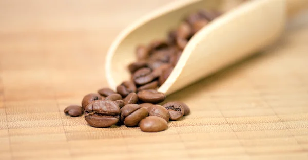 Coffee beans — Stock Photo, Image