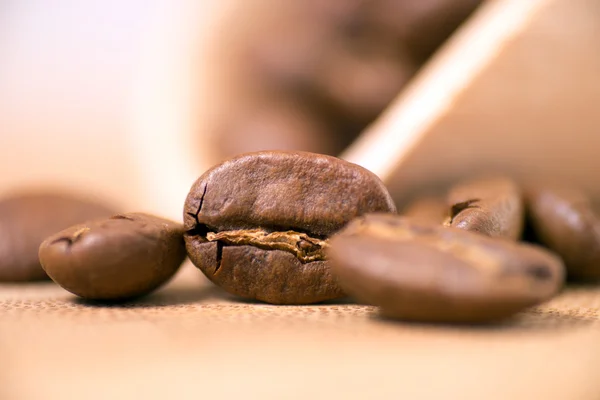 Chicchi di caffè — Foto Stock