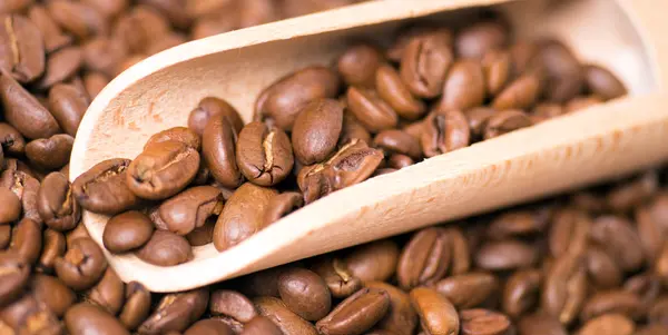 Coffee beans — Stock Photo, Image