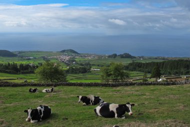 inekleri Azor Adaları