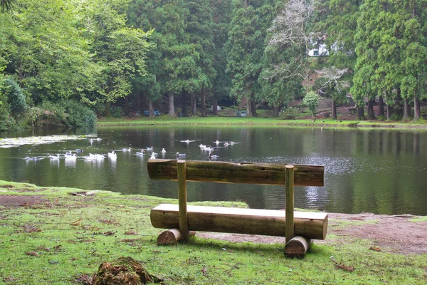 Beobachten Sie den See Stockbild