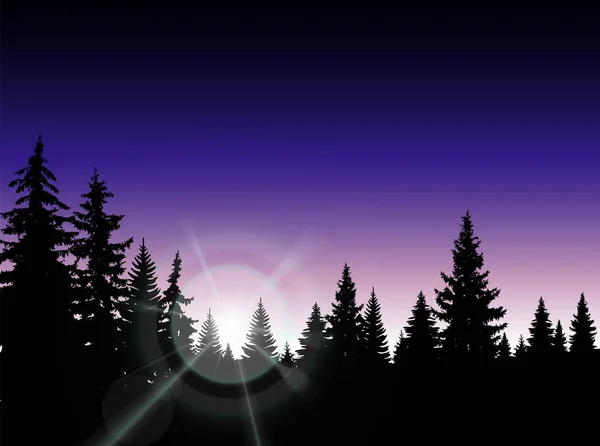 画像風景です カラフルな空の背景に針葉樹のシルエット — ストック写真