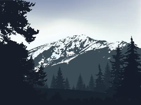 Панорама Гор Силуэт Гор Снегом Хвойными Деревьями Фоне Серого Неба — стоковое фото