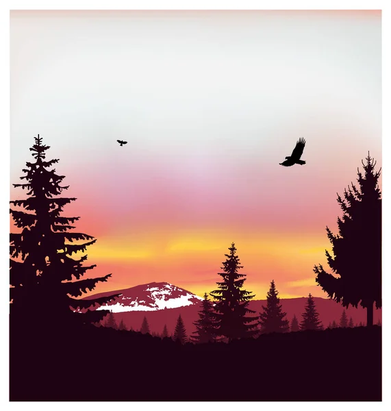 Bild Landskap Siluett Barrträ Bakgrunden Snötäckta Berg Och Färgglada Himmel — Stockfoto