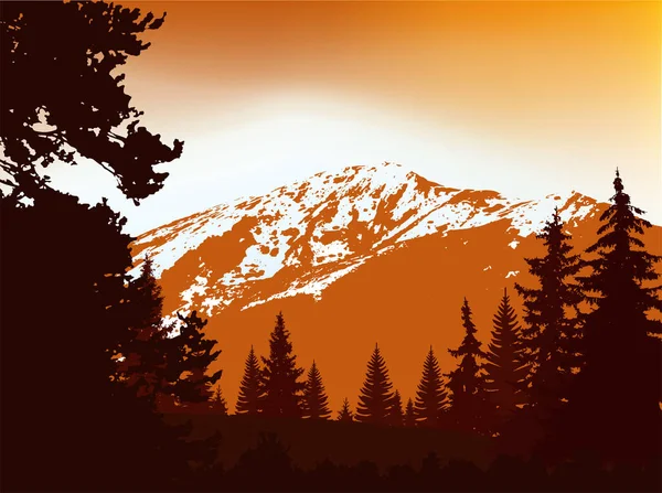 Panorama Delle Montagne Silhouette Montagne Con Neve Conifere Sullo Sfondo — Foto Stock
