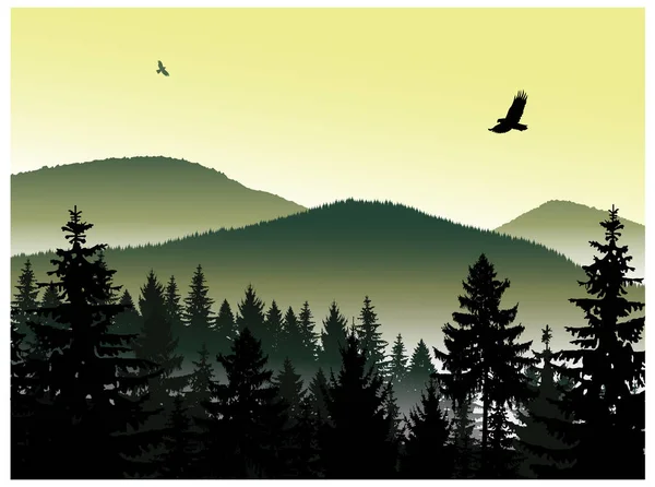 이미지 풍경입니다 산들의 파노라마입니다 독수리입니다 안개입니다 녹색과 노란색 — 스톡 사진