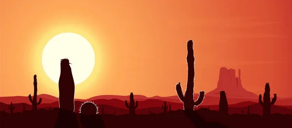Desierto Occidental Puesta Sol Rocas Cactus — Foto de Stock