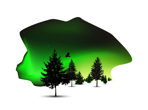 Siluety Borovic Poloha Místo Noční Oblohy Polární Záře Zelené Tóny — Stock fotografie