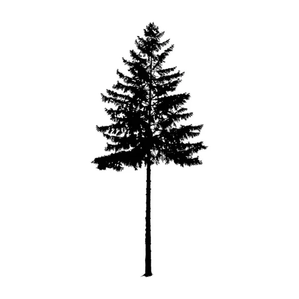 Çam Ağacı Silüeti Yapımı — Stok Vektör