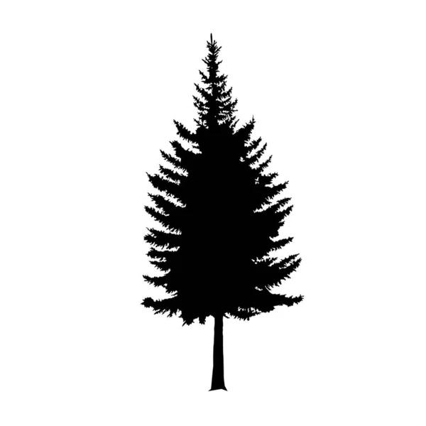 Çam Ağacı Silüeti Yapımı — Stok Vektör