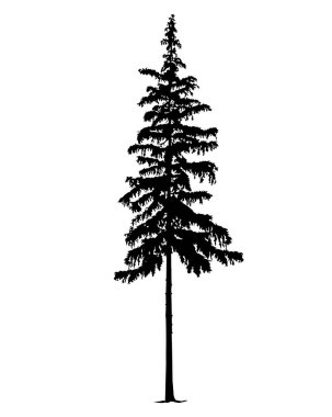 Çam ağacı silüeti. El yapımı.