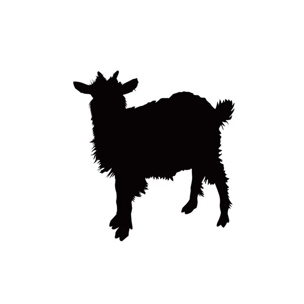 Silhouette Wooly Goat — Stock Vector