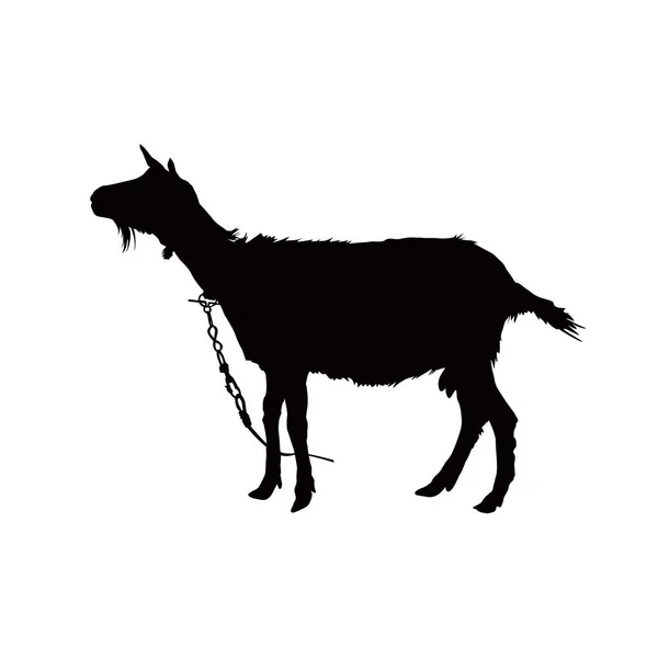 Silhouette Looking Goat — Stock Vector