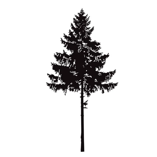松の木のシルエット ハンドメイド — ストックベクタ