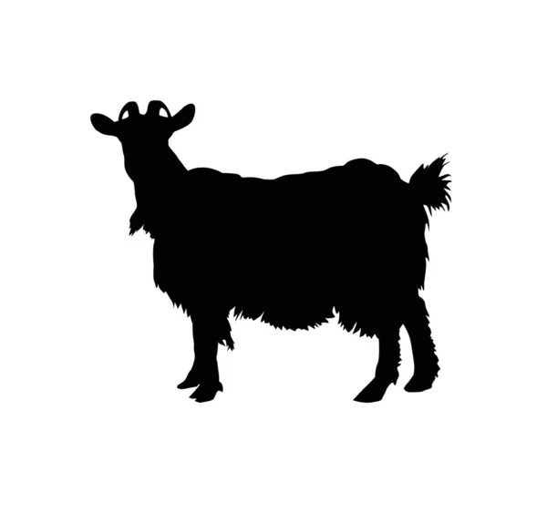 Silueta Cabra Con Cuernos Insignia — Vector de stock