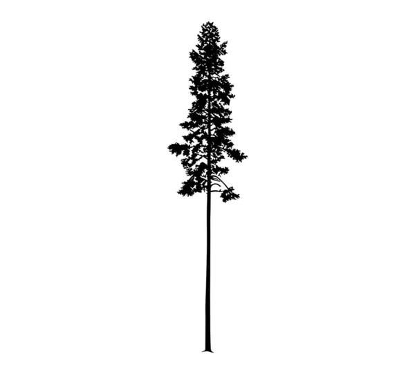 Silhouette Tall Skinny Pine Tree Hand Made — Stock Vector