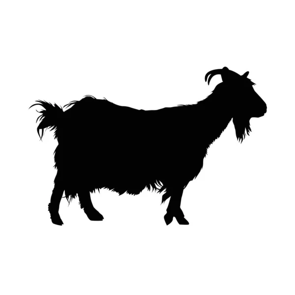 Silhouette Horned Goat Badge — Stock Vector