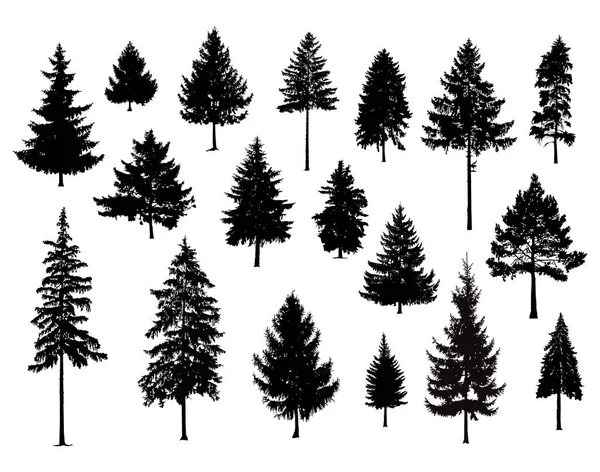 Set Silhouettes Pine Trees Hand Made — Stock Vector
