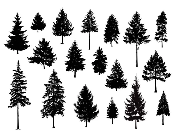 Set. Silhouettes of pine trees. Hand made. — Stock Illustration Set Silhouettes Pine Trees Hand Made Royalty Free Stock Illustrations