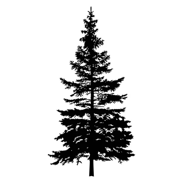 Silhouette Pine Tree Hand Made — Stock Vector