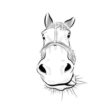 At kafası. Çizim sanatı. Dilinle oyna..