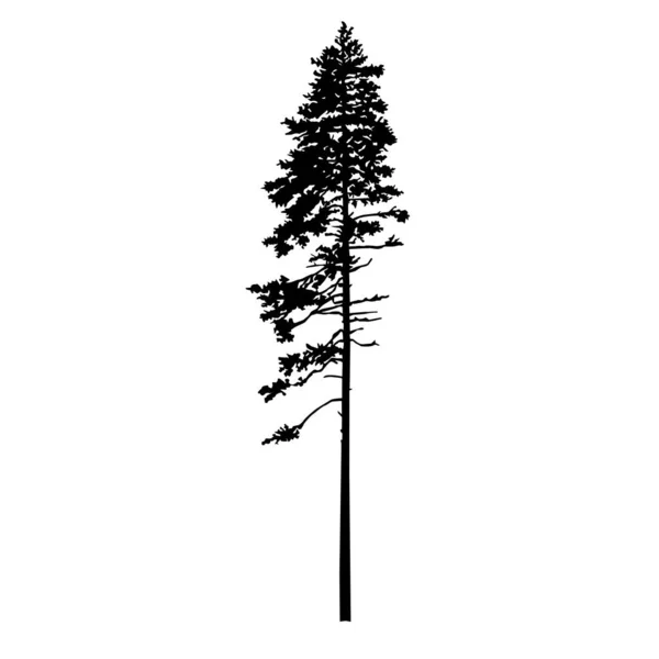 Силует Соснового Дерева Рука Зроблена — стоковий вектор