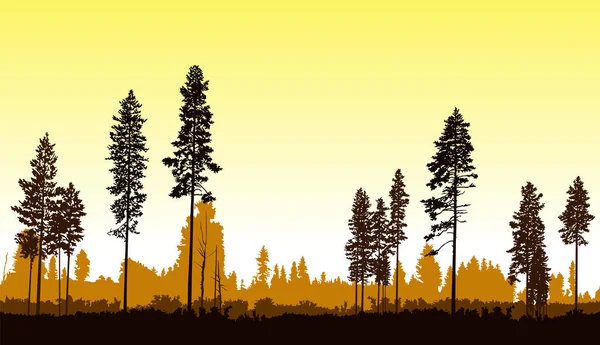 Paisaje Bosque Inconsútil Silueta Coníferas Tonos Dorados — Vector de stock