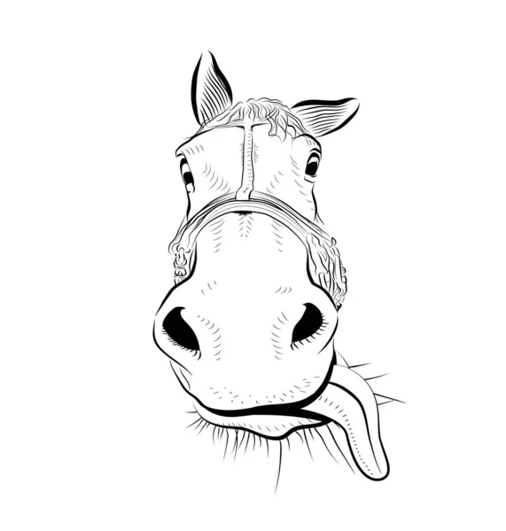 Horse Head Sketch Art Playful Big Tongue — Stock Vector