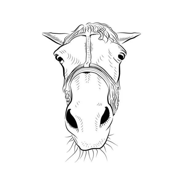 Tête Cheval Dessin Artistique Quelques Tristes Émotions — Image vectorielle