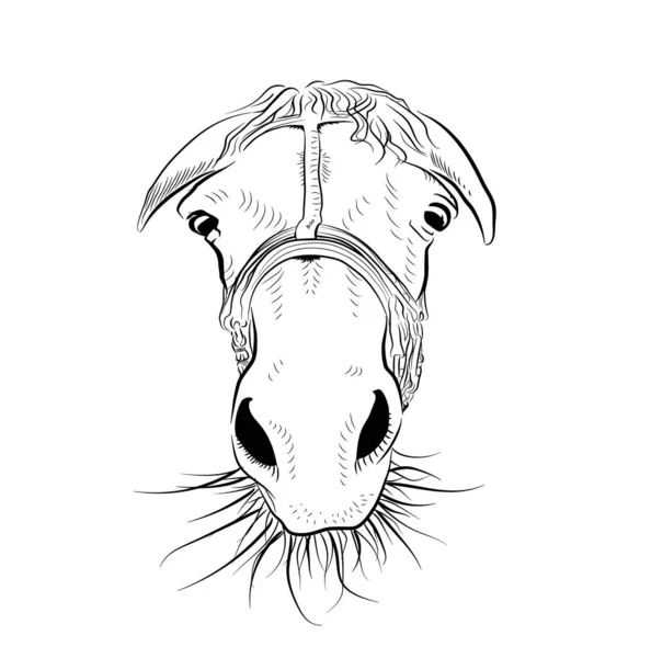 Cabeça Cavalo Arte Esboço Uma Emoção Muito Triste — Vetor de Stock