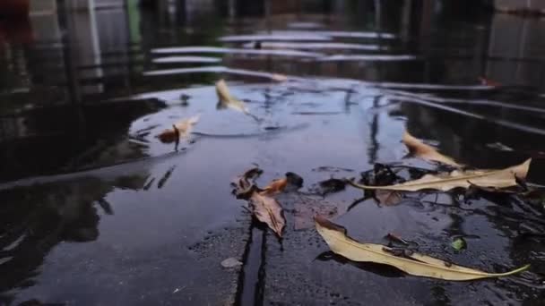 Низкоуровневое Наводнение Деревне — стоковое видео