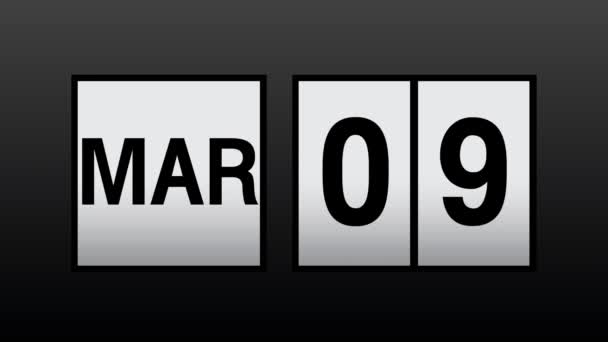 Contar Los Días Cada Mes Calendario Año Enero Diciembre Concepto — Vídeo de stock