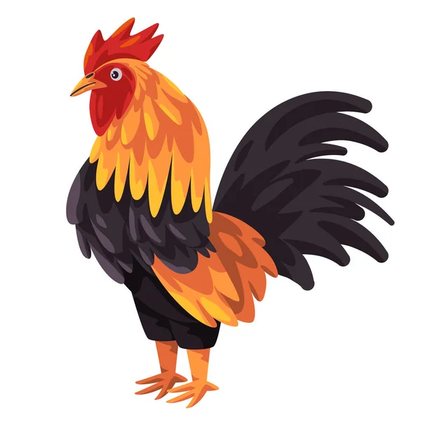 Rooster Chicken Male Feathers Animal Standing Vector Drawing Illustration — Stock vektor