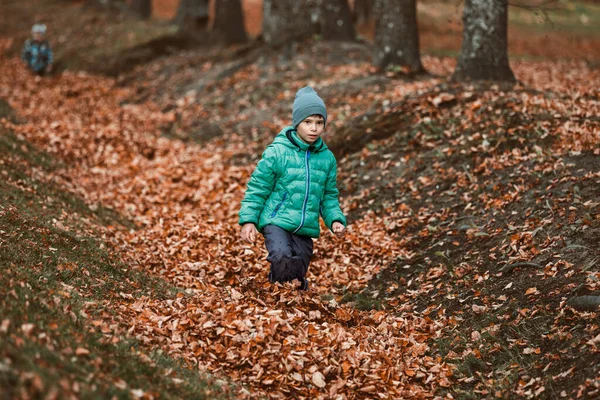 Chlapec na podzim si hraje s listím v parku — Stock fotografie