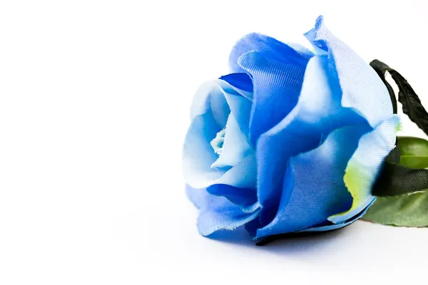蓝玫瑰上与背景 — 图库照片
